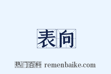 表向是什么意思的图片